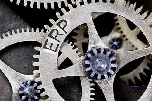 ERP cog