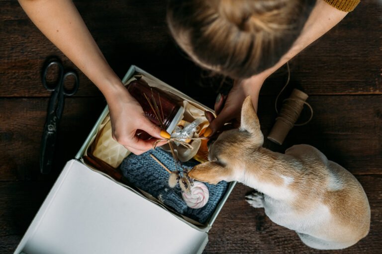 Care Box Package Ideas Woman And Her Dog