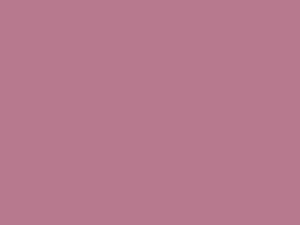 Sunny Craftsman Bungalow