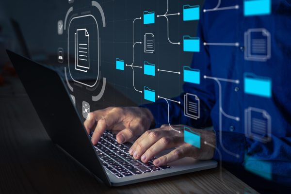 Document Management System (dms) Being Setup By IT Consultant Working